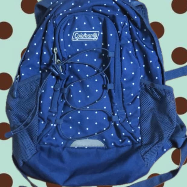 Coleman dot backpack 콜맨 도트 백팩 빈티지