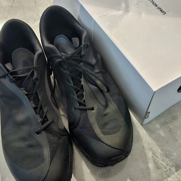 파프 온러닝 클라우드 벤처 블랙