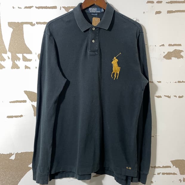 폴로랄프로렌 빅포니 칼라티