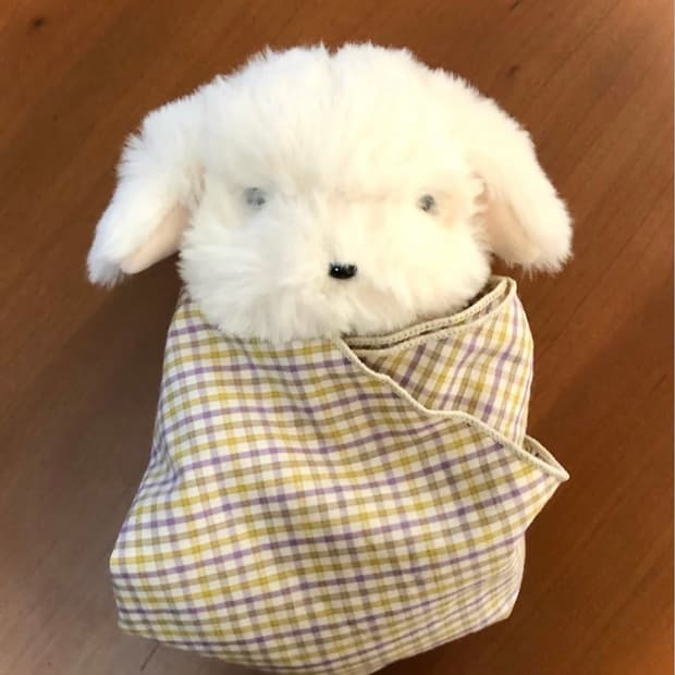 코이세이오 5/7 대리구매 합니다