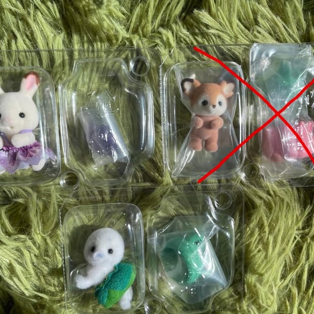 실바니안 요정의 숲