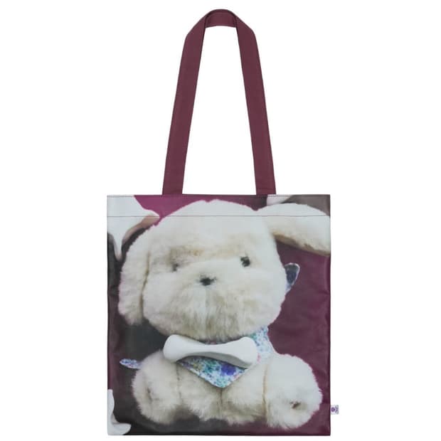 코이세이오 오후백 