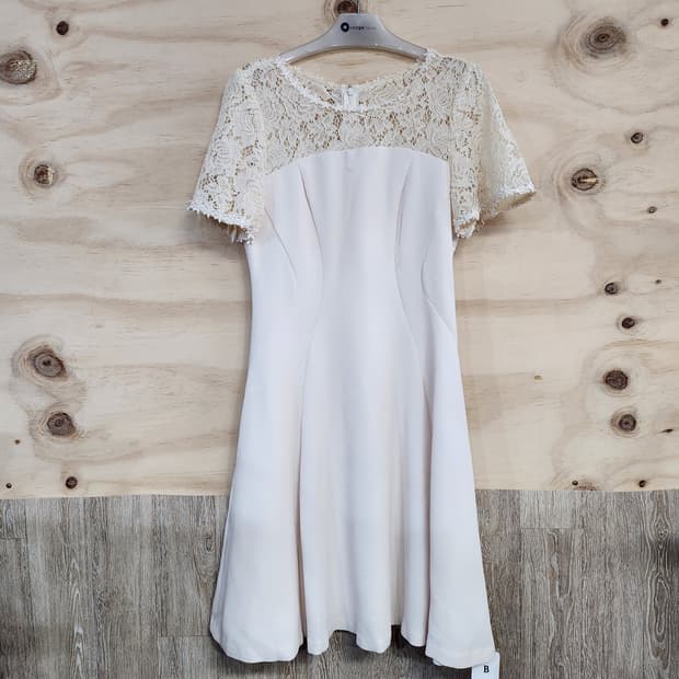 1157) 레이스포인트 반팔 원피스