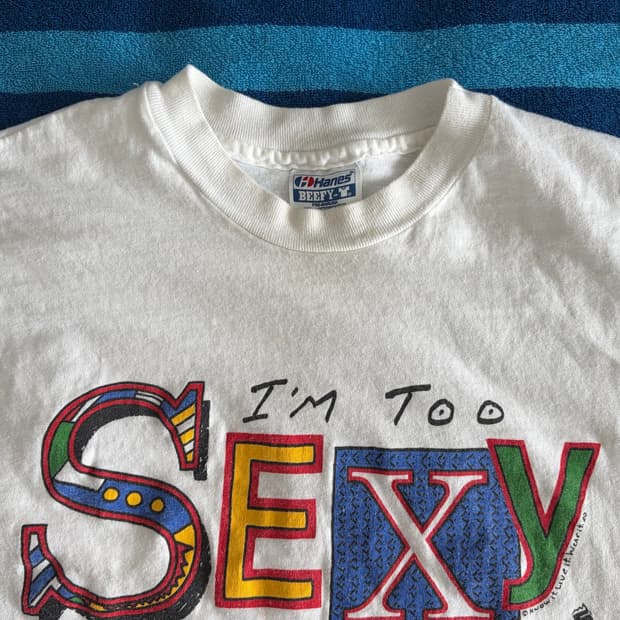 90s Hanes 헤인즈 싱글 스티치 빈티지 티셔츠 L (103)