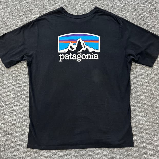 파타고니아 빅로고 반팔