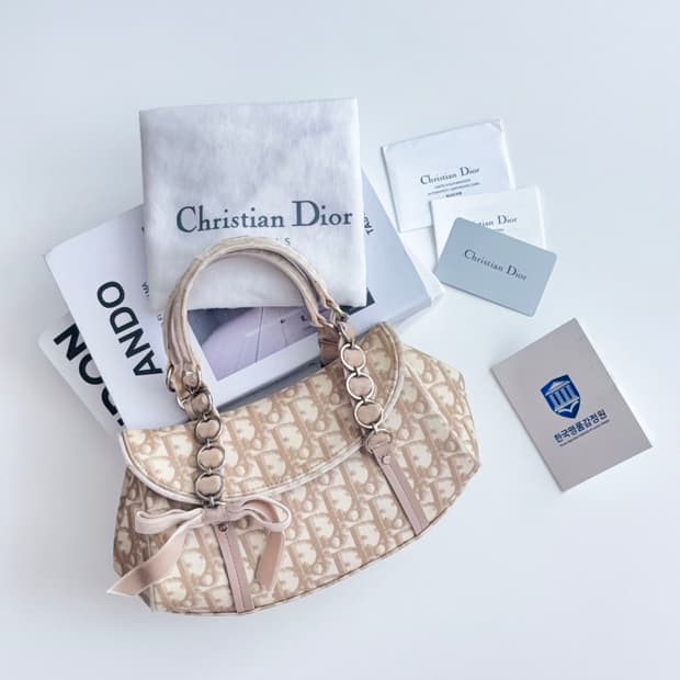 디올 오블리크 로맨틱 미니 토트백