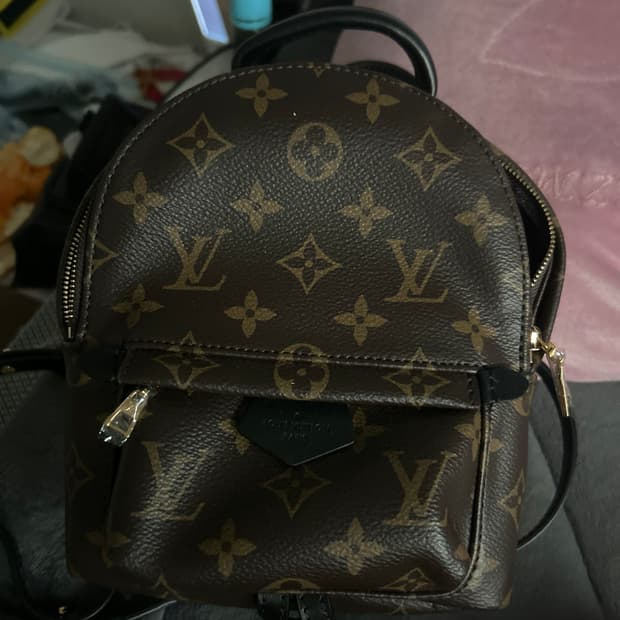 루이비통 팜 스프링스 백팩 미니