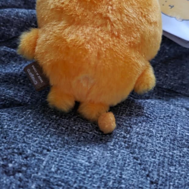 슬픈 내 담곰이의 꼬리를봐..