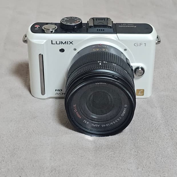 파나소닉 루믹스 GF1 미러리스 카메라