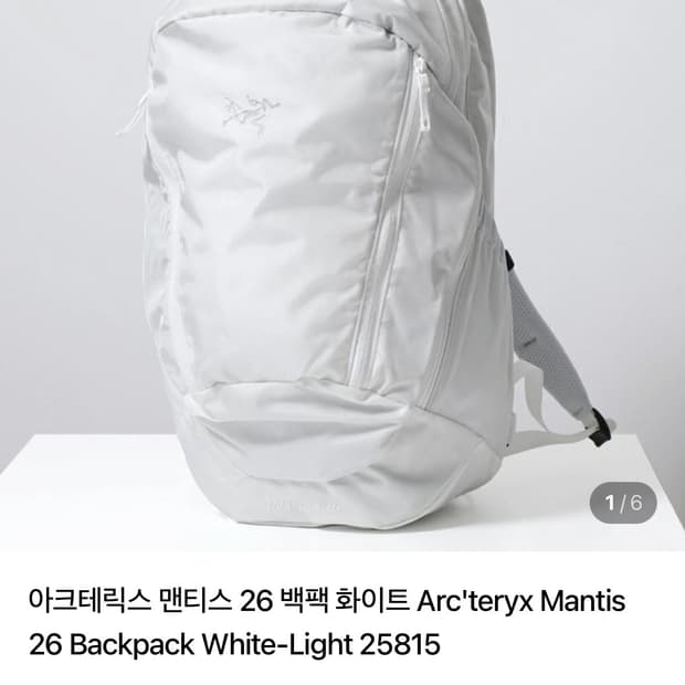 아크테릭스 맨티스26