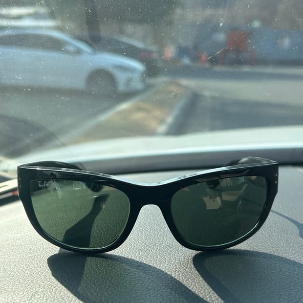 레이벤 메가발로라마