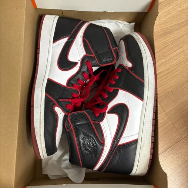 나이키 조던1 OG 블러드라인 270