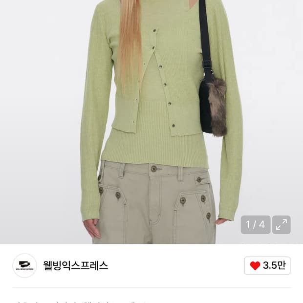 웰빙익스프레스 품절템