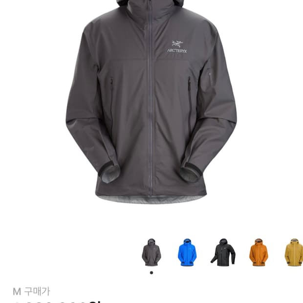 [M] 아크테릭스 베타 자켓 클라우드