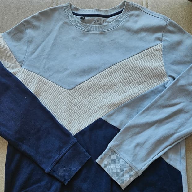 게스 스웨트셔츠