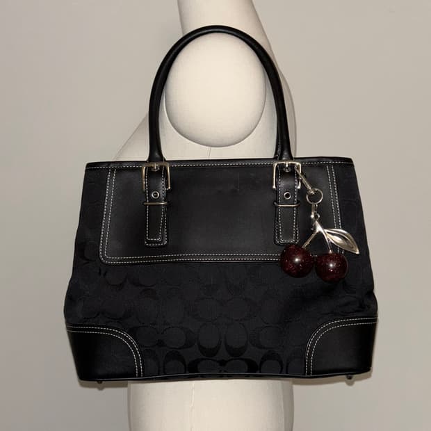 🚨연말세일🚨Coach Vintage Signature Bag