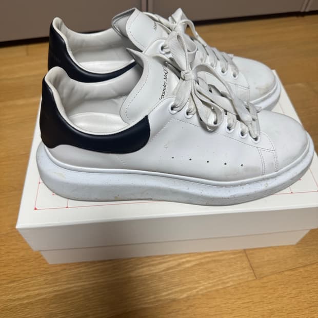 알렉산더 맥퀸 43.5