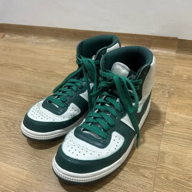 나이키 터미네이터 하이노블 그린 250