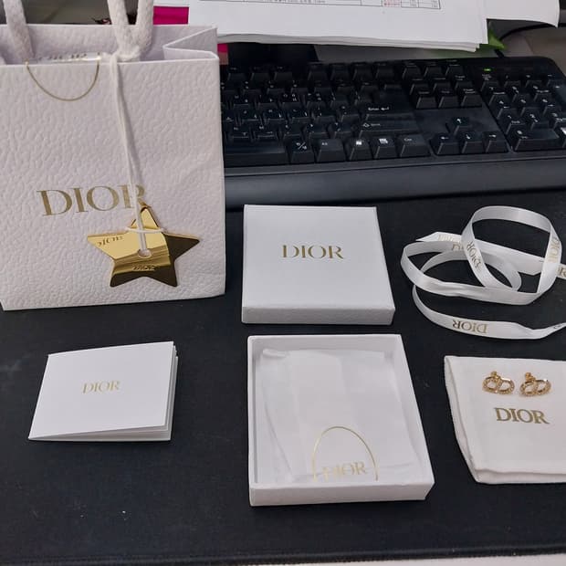 디올 귀걸이