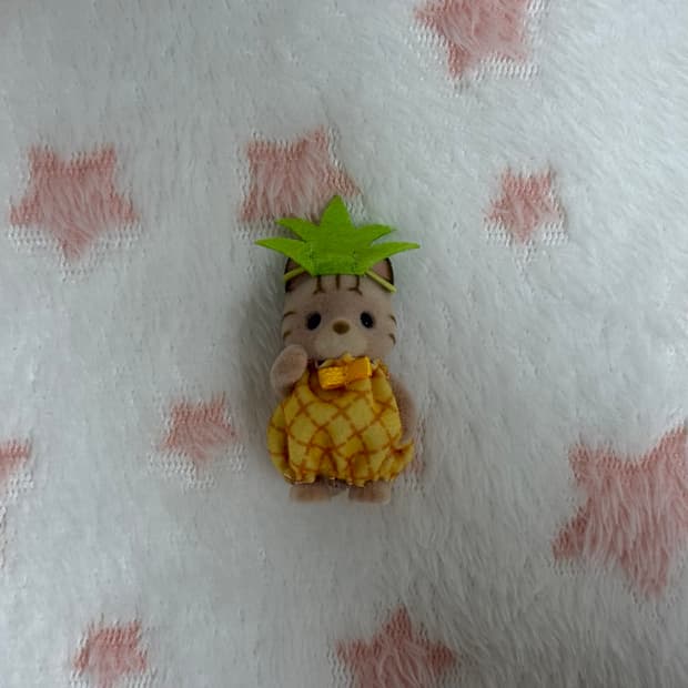 실바니안 파인애플 고양이