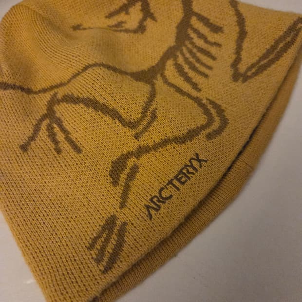 아크테릭스 버드 헤드 토크 엣지 자