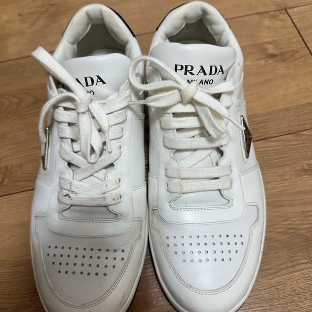 프라다 다운타운 7(265)