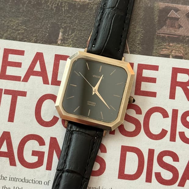 Citizen 시티즌 Exceed Black Cabochon