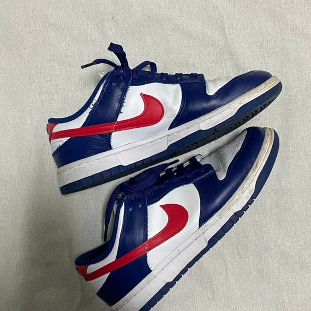 나이키 덩크 250