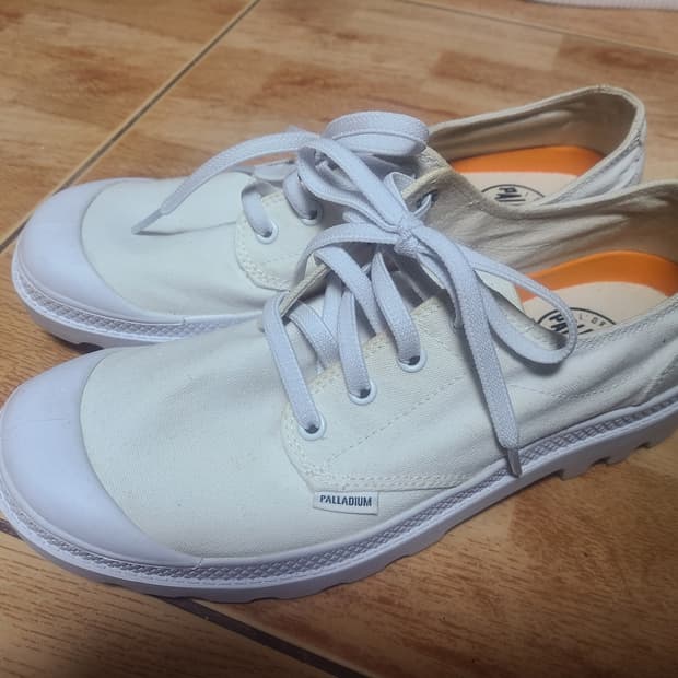 팔라디움 팜파 260(255추천)