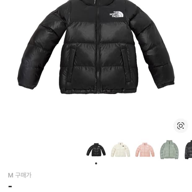 노스페이스 패딩