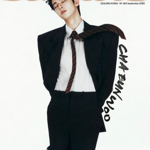 [차은우님 착용] 생로랑 24ss 카산드라 스트라이프 실크 셔츠