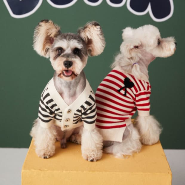 스트라이프 강아지 니트 티셔츠 레드