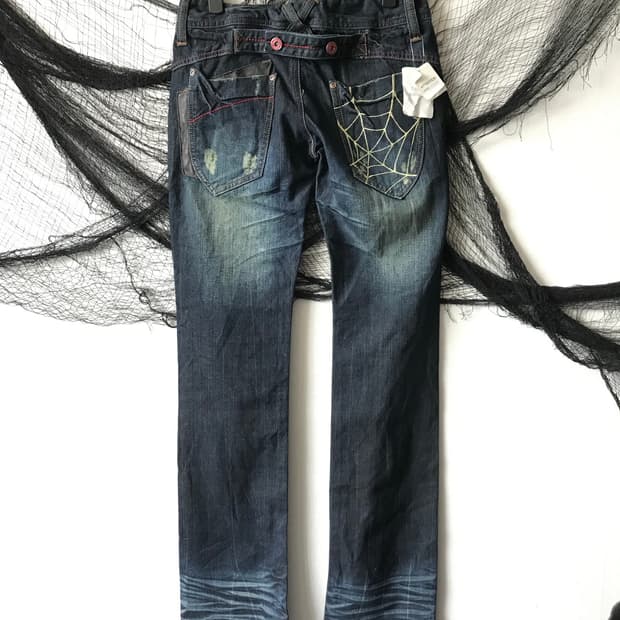 Web embriodery detailed jeans 