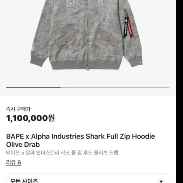 베이프 알파인더스트리 후드집업 2XL XXL 그레이 뉴진스 착용