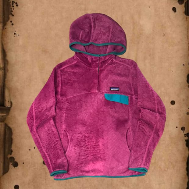 Patagonia 플리스 후드 풀오버