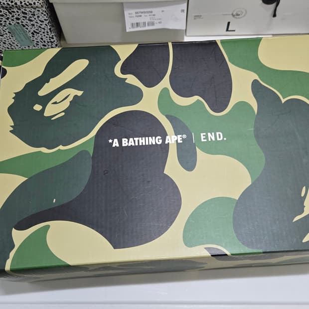 베이프 X 엔드 베이프스타 그린 레드 290사이즈