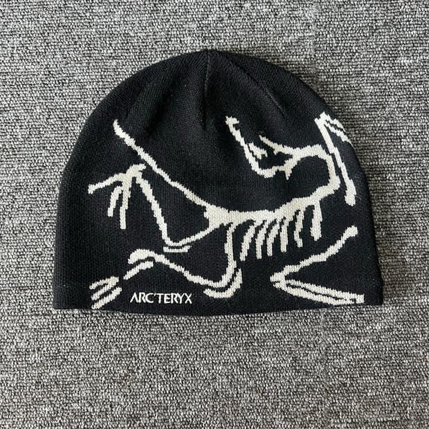 아크테릭스 비니