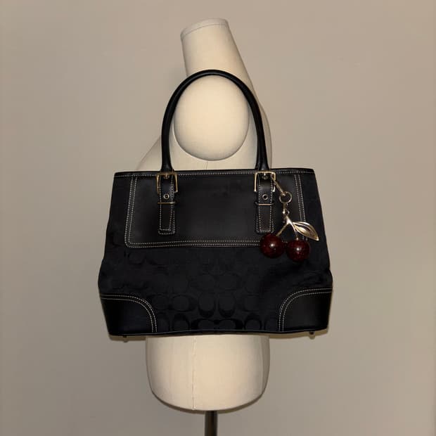 🚨연말세일🚨Coach Vintage Signature Bag