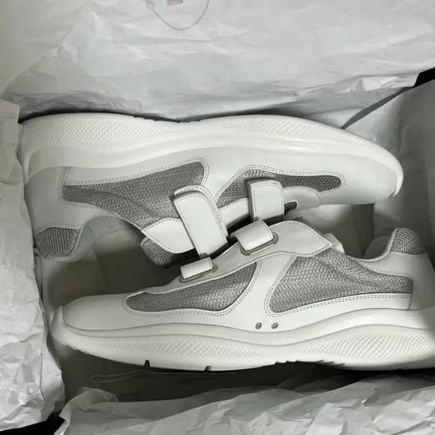 프라다 아메리카 컵