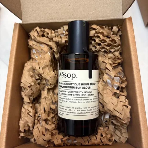 이솝 올루스 룸 스프레이 50ml