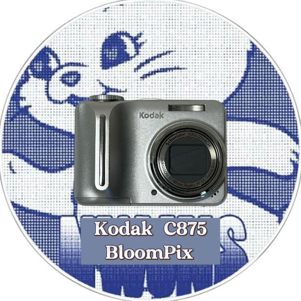 [뉴진스디카/풀구성] 코닥 C875 Kodak C875 디지털카메라