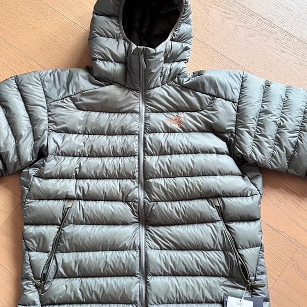 아크테릭스 세륨후디 포리지