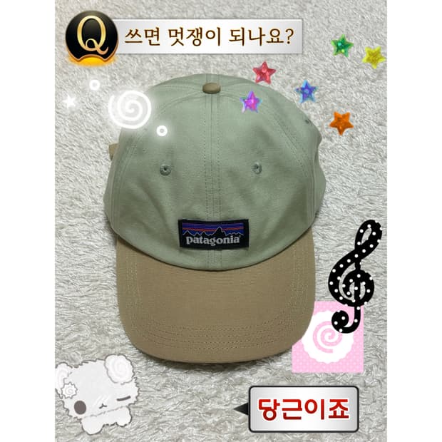 파타고니아 볼캡