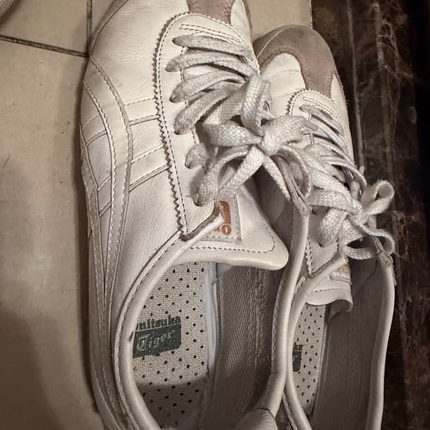 오니츠카타이거