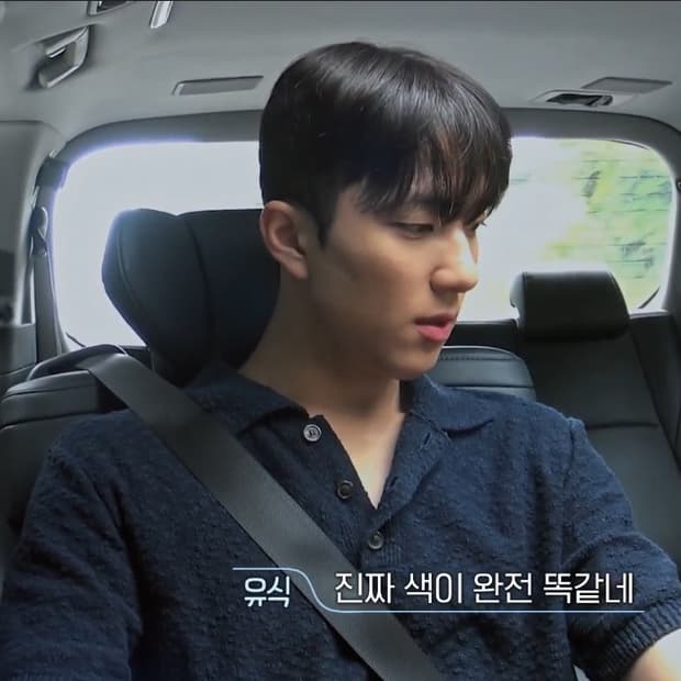 마르지엘라/이펙트 카라 니트