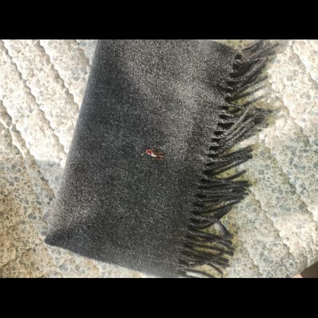 폴로 랄프로렌 램스울 그레이 머플러