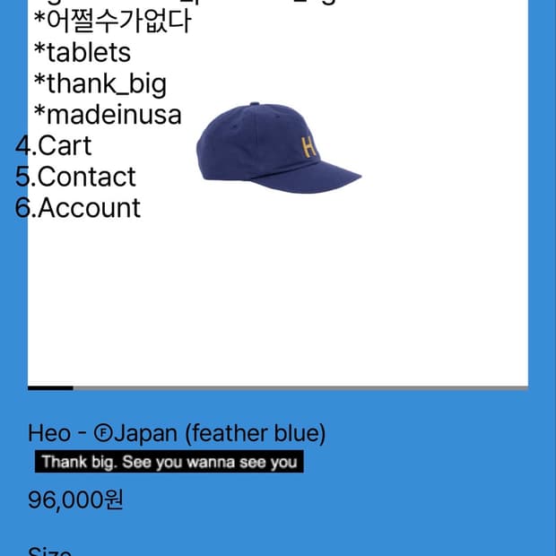 테프스토어즈 Heo - ⒻJapan (feather blue) L사이즈