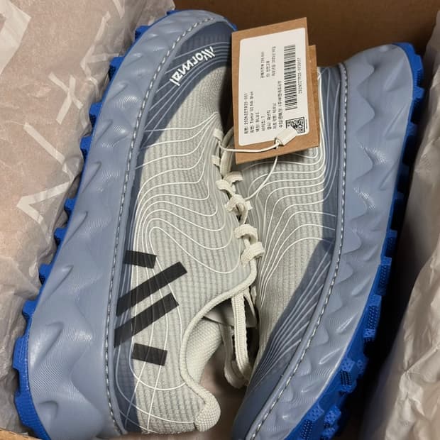 노말 토미르 02 250