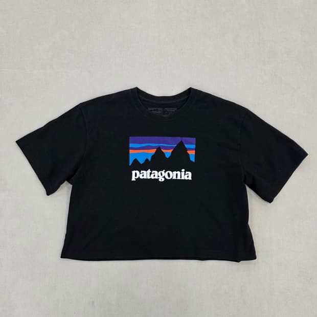 [L] 파타고니아 그래픽 로고 반팔티 0220J