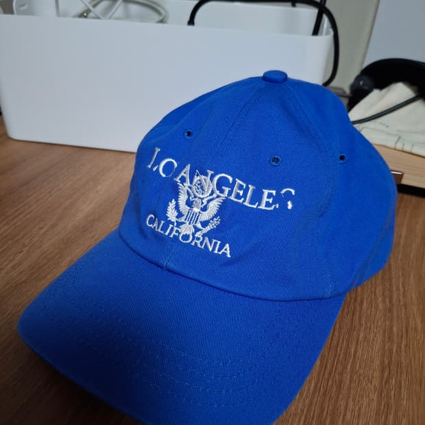 8디비전 innir 볼캡 블루